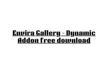 Envira Gallery – Dynamic Addon free download