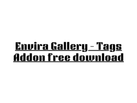 Envira Gallery – Tags Addon free download