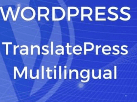 TranslatePress Multilingual (Business Plan) 2.8.2 Free download