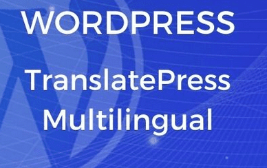 TranslatePress Multilingual (Business Plan) 2.8.2 Free download