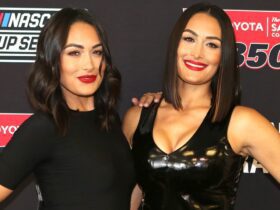 Nikki Garcia’s Sister Brie Encouraged Her to Leave Husband Artem Chigvintsev After Arrest (Source)