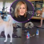 Watch Jennifer Aniston’s Dog Interrupt Her Grueling Workout