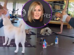 Watch Jennifer Aniston’s Dog Interrupt Her Grueling Workout