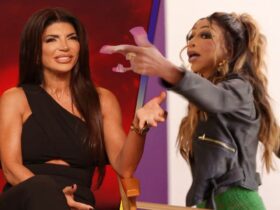 Teresa Giudice on the Future of ‘RHONJ’ and Her ‘House of Villains’ Fight With New York (Exclusive)