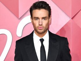 Liam Payne’s Netflix Boy Band Competition Show Shelved (Report)