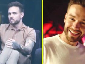 How Liam Payne Said He Wanted to Be Remembered