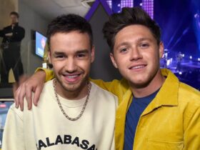 Liam Payne Dances and Gets Crowd Hyped at Niall Horan’s Argentina Concert