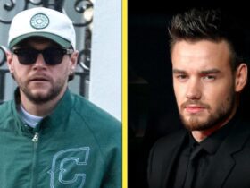 Niall Horan Spotted for First Time in London After Liam Payne’s Death