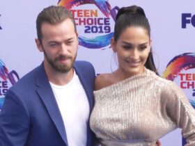 ‘DWTS’ Pro Artem Chigvintsev Claims He Lost 0K Following Domestic Dispute With Nikki Garcia