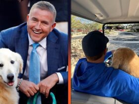 Kirk Herbstreit’s Dog Ben, Viral College Football Mascot, Dies After Cancer Battle