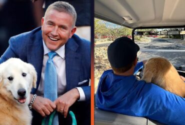 Kirk Herbstreit’s Dog Ben, Viral College Football Mascot, Dies After Cancer Battle