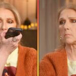 Watch Celine Dion Get Trolled by Her Own Song