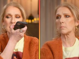 Watch Celine Dion Get Trolled by Her Own Song