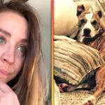 Kaley Cuoco Emotionally Explains Why She Secretly Rehomed Dog Shirley