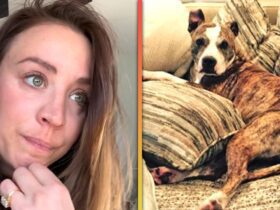 Kaley Cuoco Emotionally Explains Why She Secretly Rehomed Dog Shirley