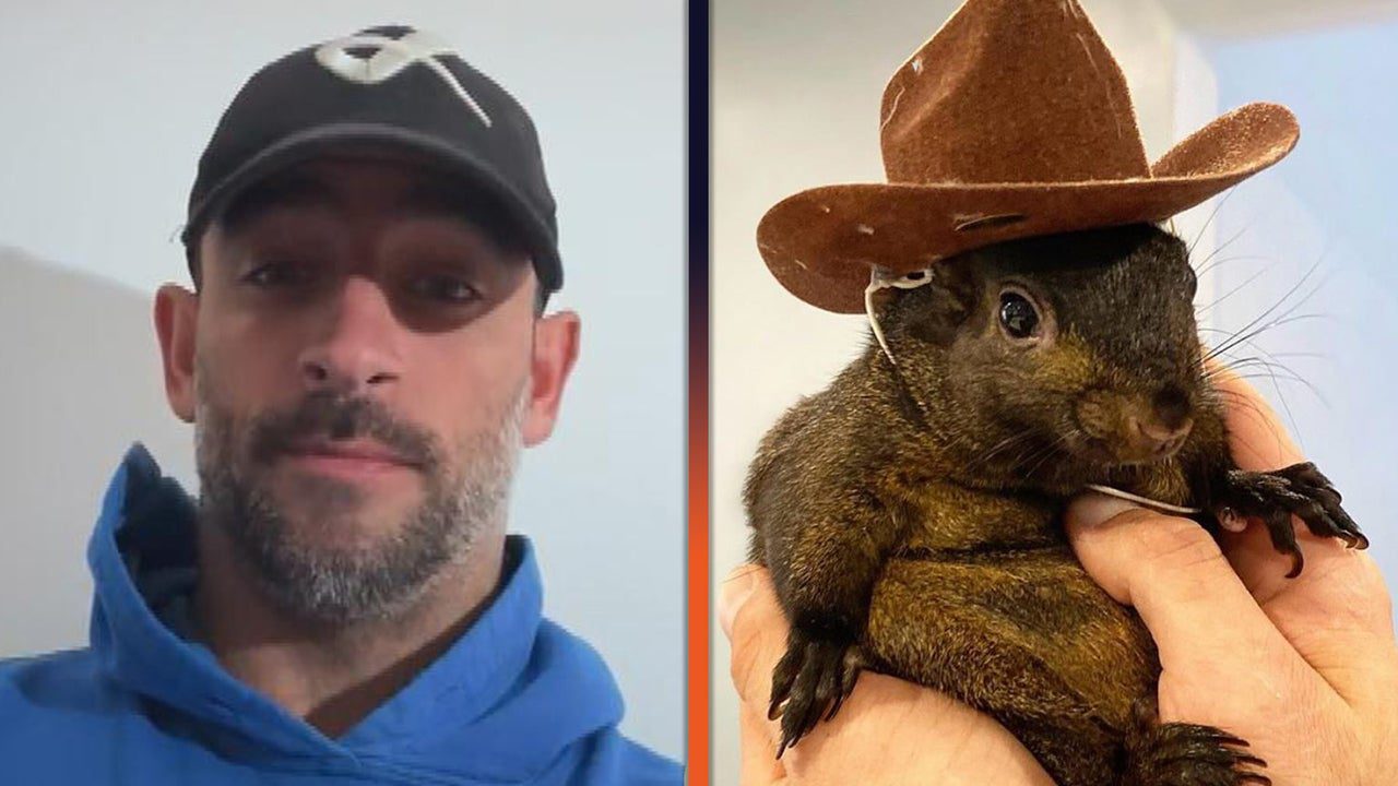 See ‘Squirrel Dad’s Tearful Message After Peanut the Squirrel, Racoon Fred Euthanized by Authorities