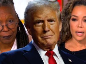 How ‘The View’ Reacted to Donald Trump’s 2024 Election Win Over Kamala Harris