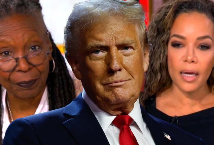 How ‘The View’ Reacted to Donald Trump’s 2024 Election Win Over Kamala Harris