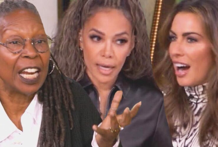 ‘The View’s Whoopi Goldberg Breaks Up Alyssa Farah Griffin and Sunny Hostin’s Heated Debate