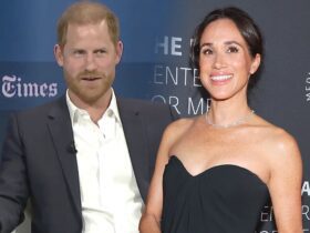 Meghan Markle Attends Gala Solo Amid Prince Harry Divorce Rumors