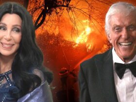 Cher, Dick Van Dyke, Brooke Burke and More Celebs Forced to Evacuate Malibu Homes Due to Fires