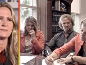 ‘Sister Wives’: Christine Shares Why She Thinks Robyn Orchestrated Meri and Kody’s Divorce