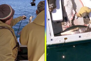 ‘Harpoon Hunters’: Watch Fisherman Spear Nearly 8-Foot-Long Tuna! (Exclusive)