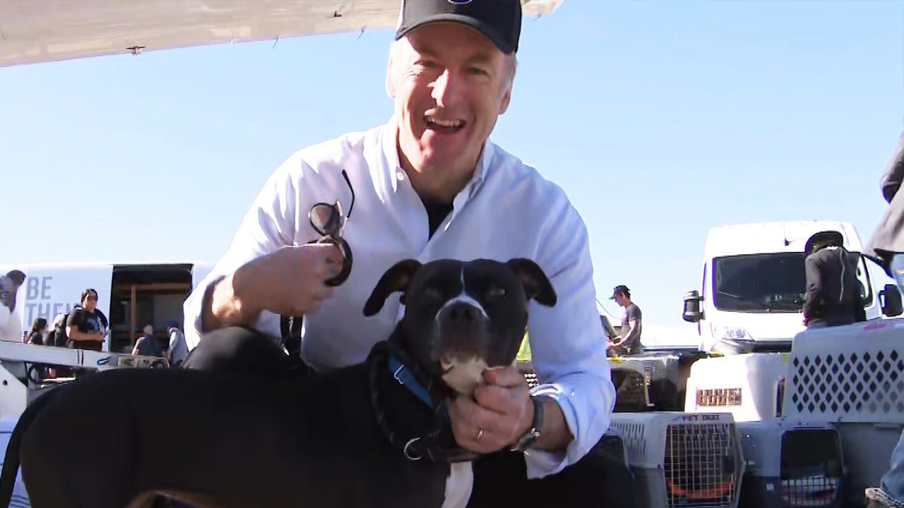 Watch Bob Odenkirk Volunteer at Dog and Cat Rescue Flight Amid LA Fires (Exclusive)