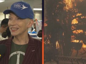 LA Fire: Annie Lennox Turning ‘Hopelessness’ Into Action With Volunteer Work for Victims (Exclusive)