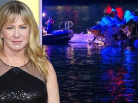 D.C. Plane Crash Kills 14 Members of Figure Skating Community: Tonya Harding and More React