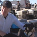 ‘Better Call Saul’s Bob Odenkirk Helps Displaced Pets Return Home After LA Fires (Exclusive)