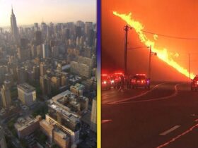 LA Fires: Destruction Bigger Than Size of Manhattan