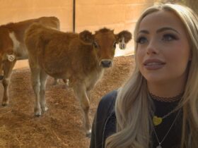 WWE Star Liv Morgan on Why She Chooses to Live on a Farm (Exclusive)