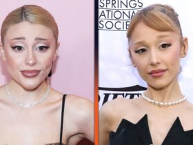 Ariana Grande Fans Shocked by Impersonator Paige Niemann’s Latest Lookalike Appearance