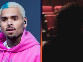 Inside Chris Brown’s 0 Million Lawsuit Over Documentary About Domestic Abuse