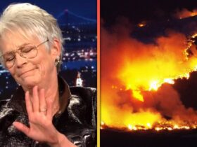 Jamie Lee Curtis Donating M to LA Fire Relief After Choking Up Over Tragedy During TV Appearance