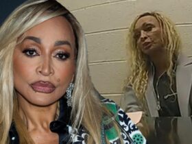 ‘RHOP’ Star Karen Huger Enters Rehab After Shocking DUI Videos Surface