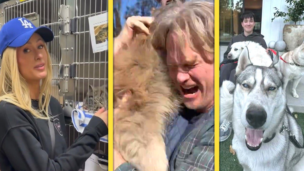 LA Fires: Heartwarming Animal Stories | Watch Owners Reconnect With Lost Pets as Stars Help Out