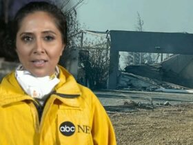 LA Fires: ABC News Reporter Spent One Night in Palisades Home Before It Burned Down