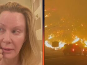 Sandra Lee Emotionally Reveals Her Home Was Burned Down in Palisades Fire