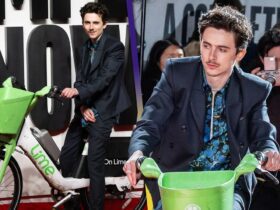 Timothée Chalamet Rides Bike Onto Red Carpet Premiere for Bob Dylan Biopic