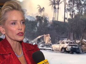 Sharon Stone Compares LA Fire Destruction to Chernobyl (Exclusive)