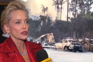 Sharon Stone Compares LA Fire Destruction to Chernobyl (Exclusive)