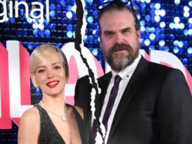 Lily Allen and David Harbour Call It Quits After 4 Years of Marriage